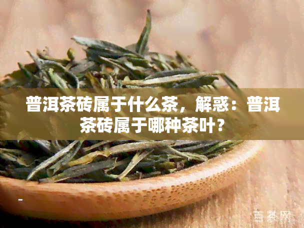 普洱茶砖属于什么茶，解惑：普洱茶砖属于哪种茶叶？