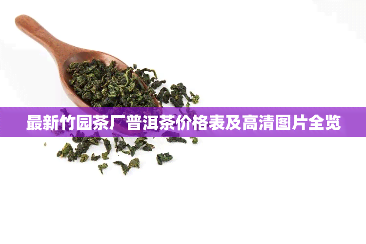 最新竹园茶厂普洱茶价格表及高清图片全览