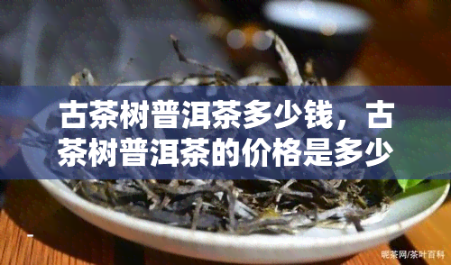 古茶树普洱茶多少钱，古茶树普洱茶的价格是多少？一份详尽的市场分析