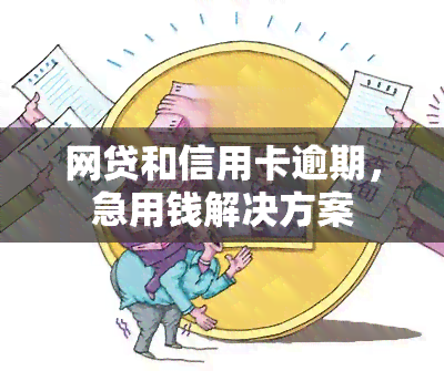 网贷和信用卡逾期，急用钱解决方案