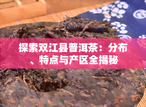 探索双江县普洱茶：分布、特点与产区全揭秘