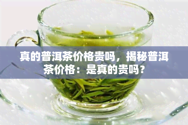 真的普洱茶价格贵吗，揭秘普洱茶价格：是真的贵吗？