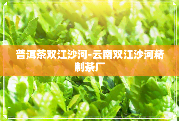 普洱茶双江沙河-云南双江沙河精制茶厂