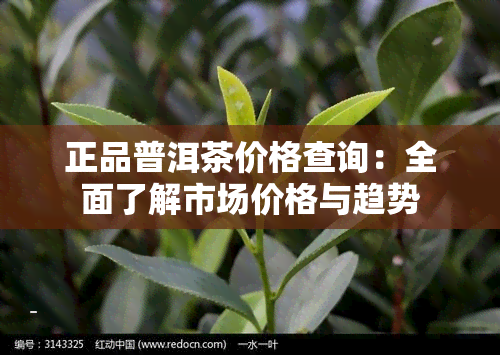 正品普洱茶价格查询：全面了解市场价格与趋势