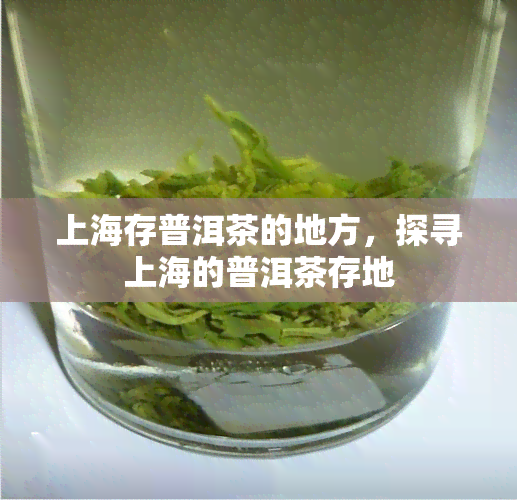 上海存普洱茶的地方，探寻上海的普洱茶存地