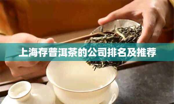 上海存普洱茶的公司排名及推荐