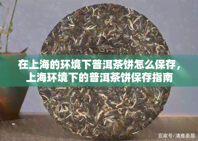 在上海的环境下普洱茶饼怎么保存，上海环境下的普洱茶饼保存指南