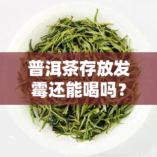 普洱茶存放发霉还能喝吗？有无副作用及原因解析