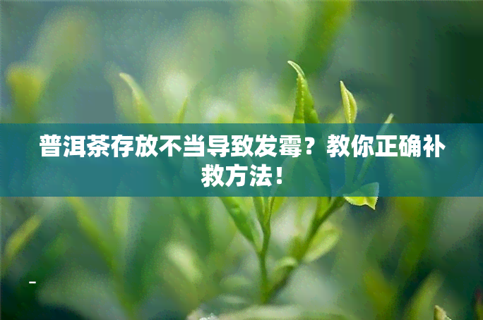 普洱茶存放不当导致发霉？教你正确补救方法！