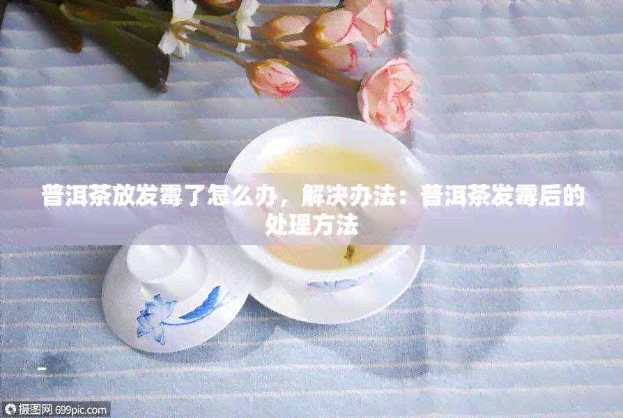 普洱茶放发霉了怎么办，解决办法：普洱茶发霉后的处理方法