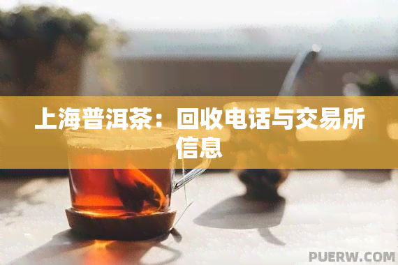 上海普洱茶：回收电话与交易所信息