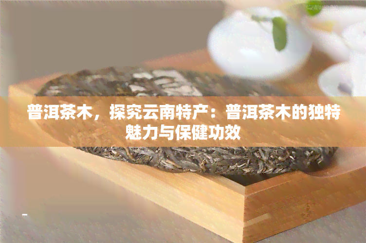 普洱茶木，探究云南特产：普洱茶木的独特魅力与保健功效