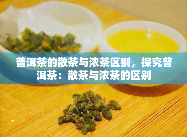 普洱茶的散茶与浓茶区别，探究普洱茶：散茶与浓茶的区别