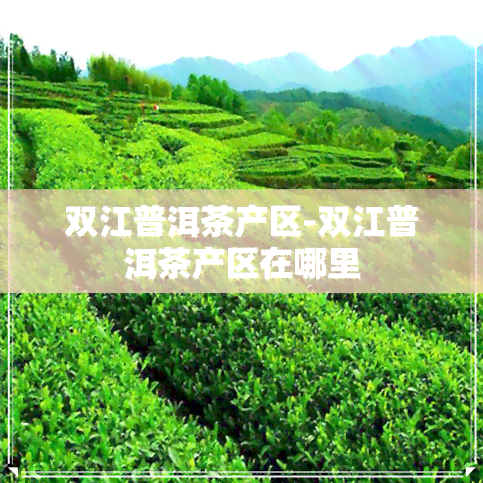 双江普洱茶产区-双江普洱茶产区在哪里