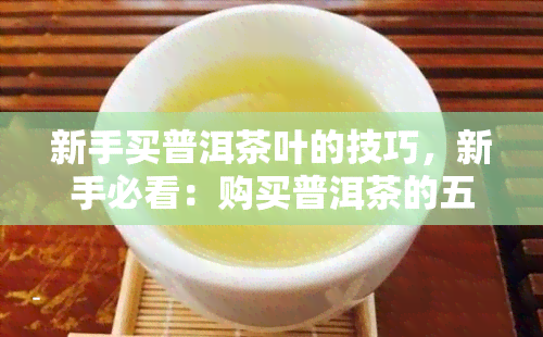 新手买普洱茶叶的技巧，新手必看：购买普洱茶的五大技巧