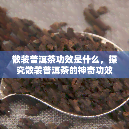 散装普洱茶功效是什么，探究散装普洱茶的神奇功效！