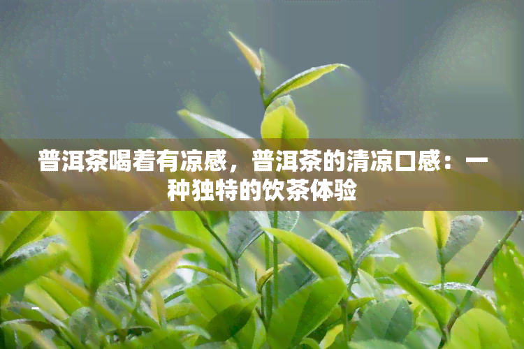 普洱茶喝着有凉感，普洱茶的清凉口感：一种独特的饮茶体验