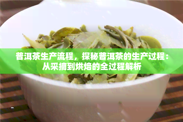 普洱茶生产流程，探秘普洱茶的生产过程：从采摘到烘焙的全过程解析