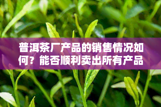 普洱茶厂产品的销售情况如何？能否顺利卖出所有产品？