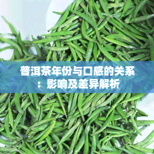 普洱茶年份与口感的关系：影响及差异解析