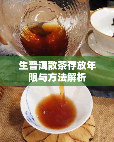 生普洱散茶存放年限与方法解析