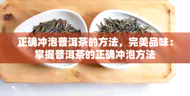 正确冲泡普洱茶的方法，完美品味：掌握普洱茶的正确冲泡方法