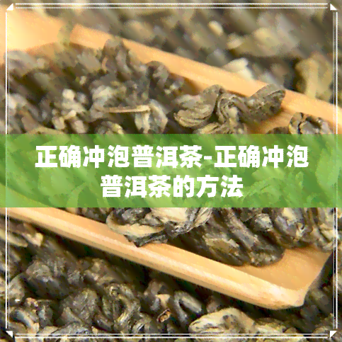 正确冲泡普洱茶-正确冲泡普洱茶的方法