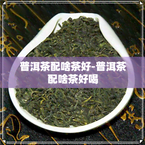 普洱茶配啥茶好-普洱茶配啥茶好喝