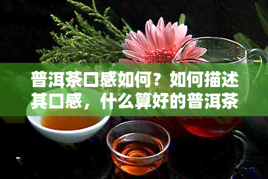 普洱茶口感如何？如何描述其口感，什么算好的普洱茶口感？