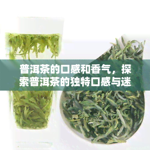 普洱茶的口感和香气，探索普洱茶的独特口感与迷人香气