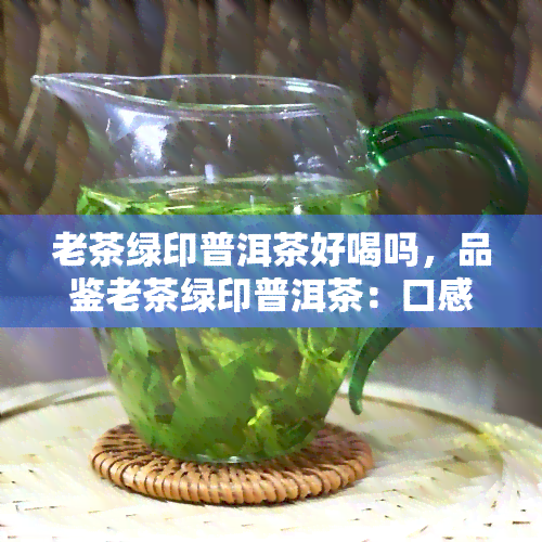 老茶绿印普洱茶好喝吗，品鉴老茶绿印普洱茶：口感如何？值得一试吗？