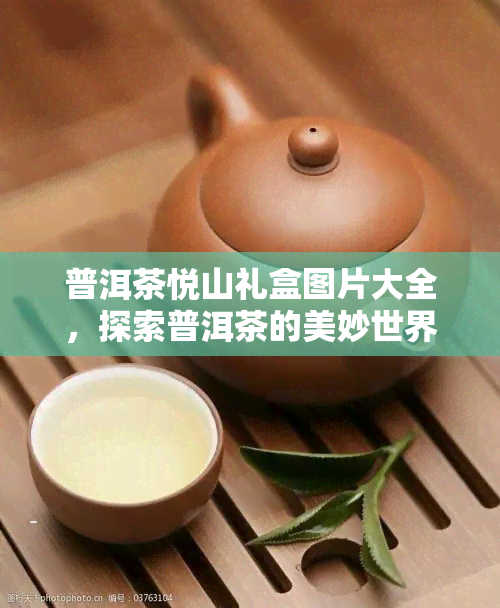 普洱茶悦山礼盒图片大全，探索普洱茶的美妙世界：悦山礼盒图片全览