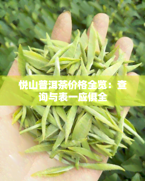 悦山普洱茶价格全览：查询与表一应俱全