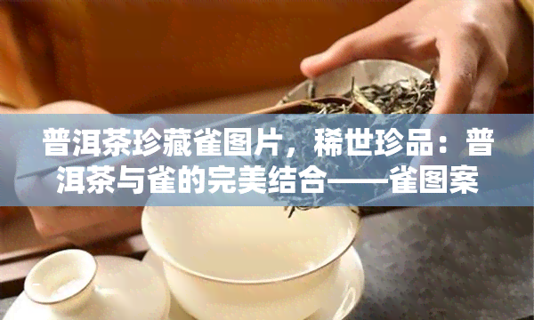 普洱茶珍藏雀图片，稀世珍品：普洱茶与雀的完美结合——雀图案普洱茶收藏价值解析