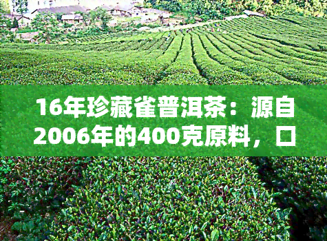 16年珍藏雀普洱茶：源自2006年的400克原料，口感醇厚