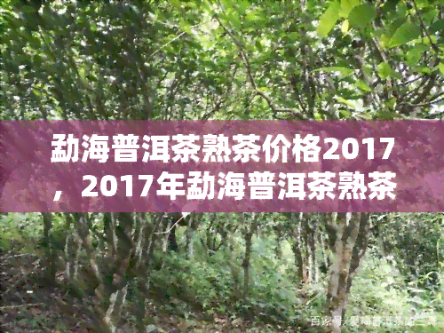 勐海普洱茶熟茶价格2017，2017年勐海普洱茶熟茶市场价格一览