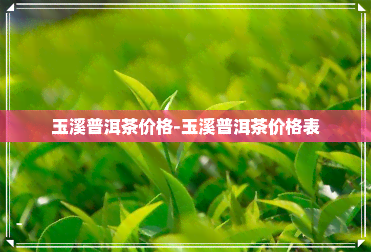 玉溪普洱茶价格-玉溪普洱茶价格表