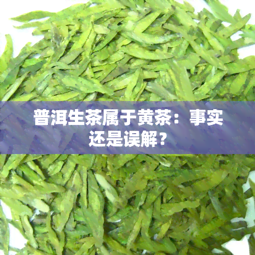 普洱生茶属于黄茶：事实还是误解？