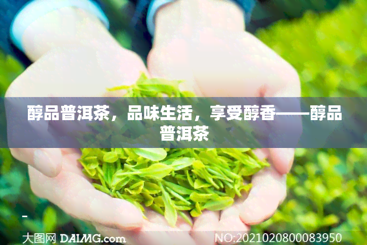 醇品普洱茶，品味生活，享受醇香——醇品普洱茶