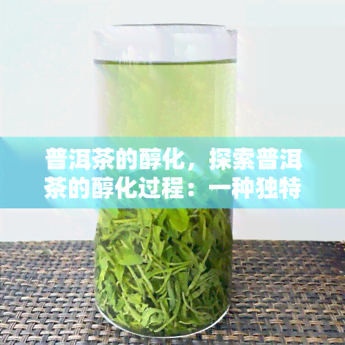 普洱茶的醇化，探索普洱茶的醇化过程：一种独特的发酵艺术