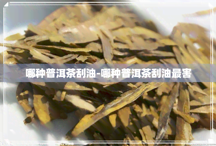 哪种普洱茶刮油-哪种普洱茶刮油最害