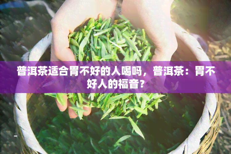 普洱茶适合胃不好的人喝吗，普洱茶：胃不好人的福音？