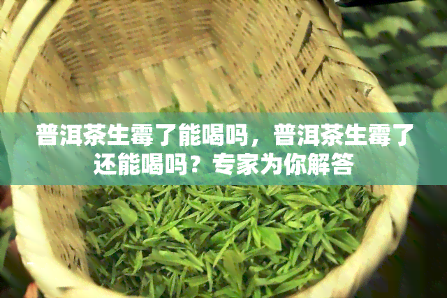 普洱茶生霉了能喝吗，普洱茶生霉了还能喝吗？专家为你解答