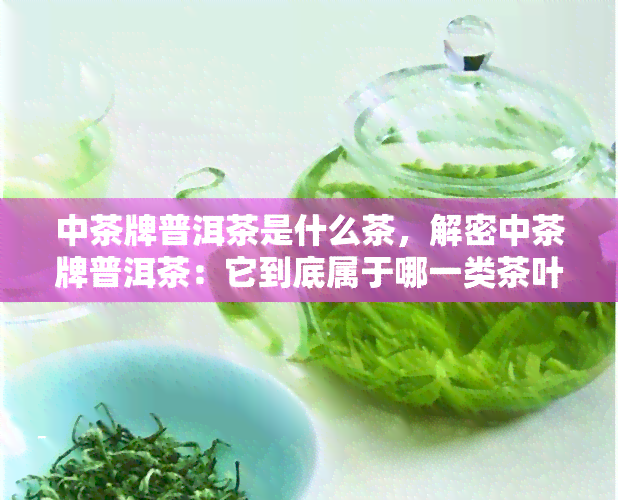 中茶牌普洱茶是什么茶，解密中茶牌普洱茶：它到底属于哪一类茶叶？