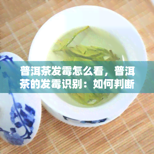 普洱茶发霉怎么看，普洱茶的发霉识别：如何判断茶叶是否变质