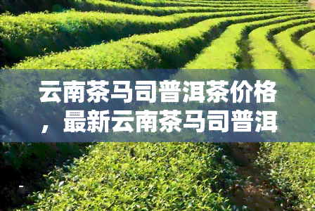 云南茶马司普洱茶价格，最新云南茶马司普洱茶市场价格表，一目了然！