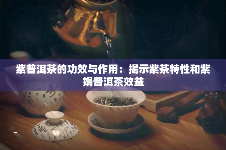 紫普洱茶的功效与作用：揭示紫茶特性和紫娟普洱茶效益