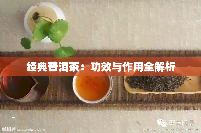 经典普洱茶：功效与作用全解析