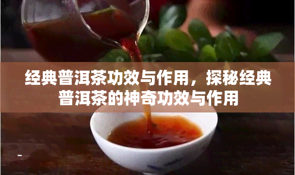 经典普洱茶功效与作用，探秘经典普洱茶的神奇功效与作用