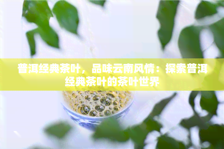 普洱经典茶叶，品味云南风情：探索普洱经典茶叶的茶叶世界